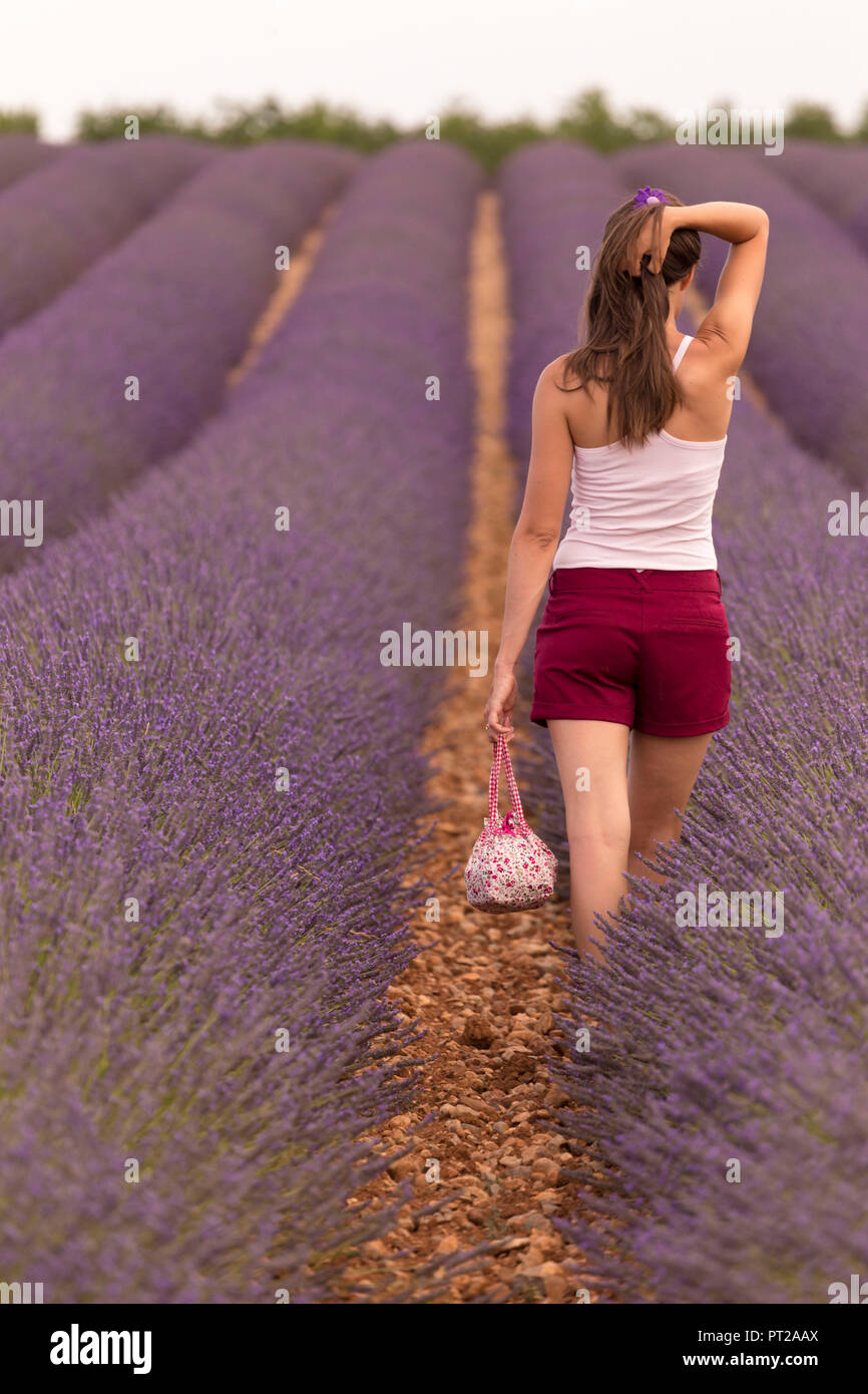 Brunette donna in t-shirt bianco e rosso shorts in un campo di lavanda, valensole, Provenza, Francia Foto Stock