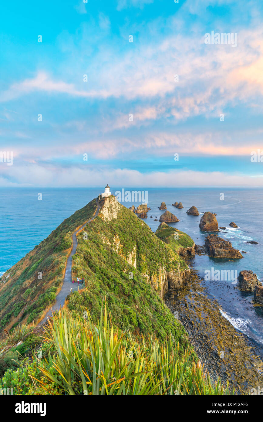 Nugget Point lighthouse al tramonto da una vista in elevazione, Ahuriri piana, Clutha distretto, regione di Otago, South Island, in Nuova Zelanda, Foto Stock