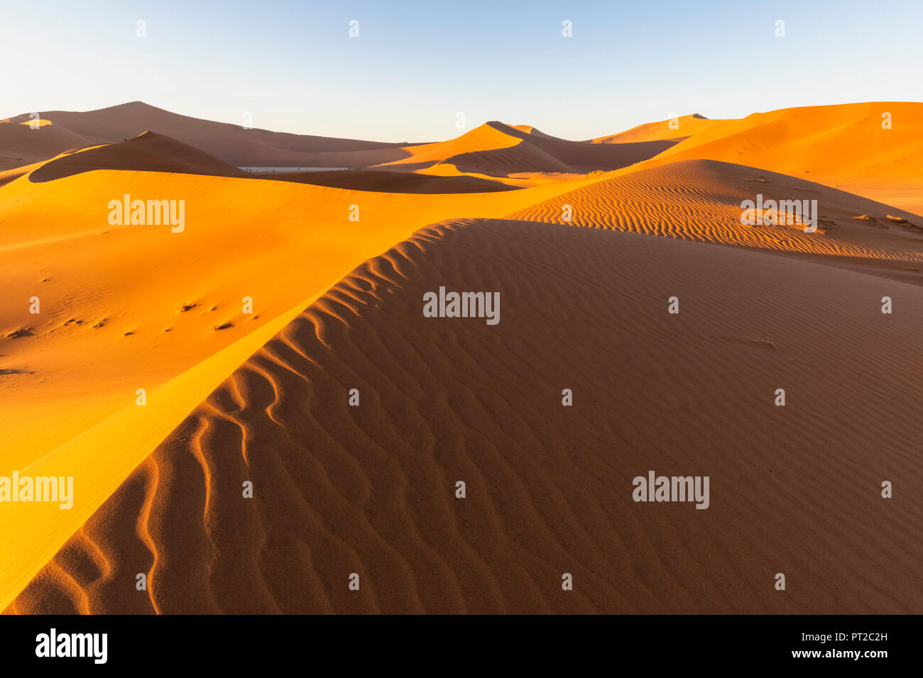 In Africa, la Namibia, il deserto del Namib Naukluft, Parco Nazionale, Dead Vlei e dune di sabbia "Big Daddy' Foto Stock