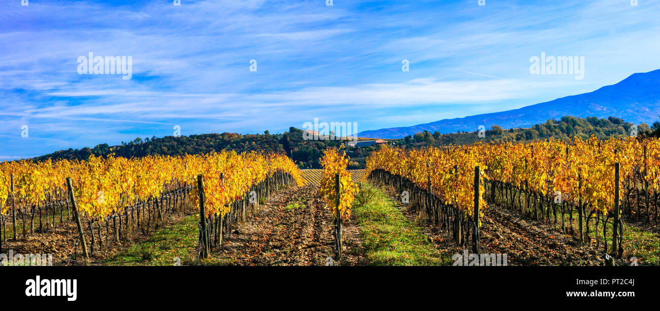 Impressionante paesaggio autunnale,vista con variopinti vigneti,Chianti,Toscana,l'Italia. Foto Stock