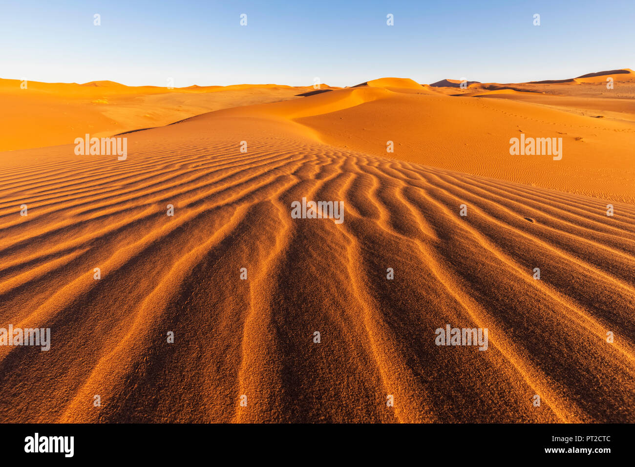 In Africa, la Namibia, il deserto del Namib Naukluft, parco nazionale, le dune di sabbia Foto Stock
