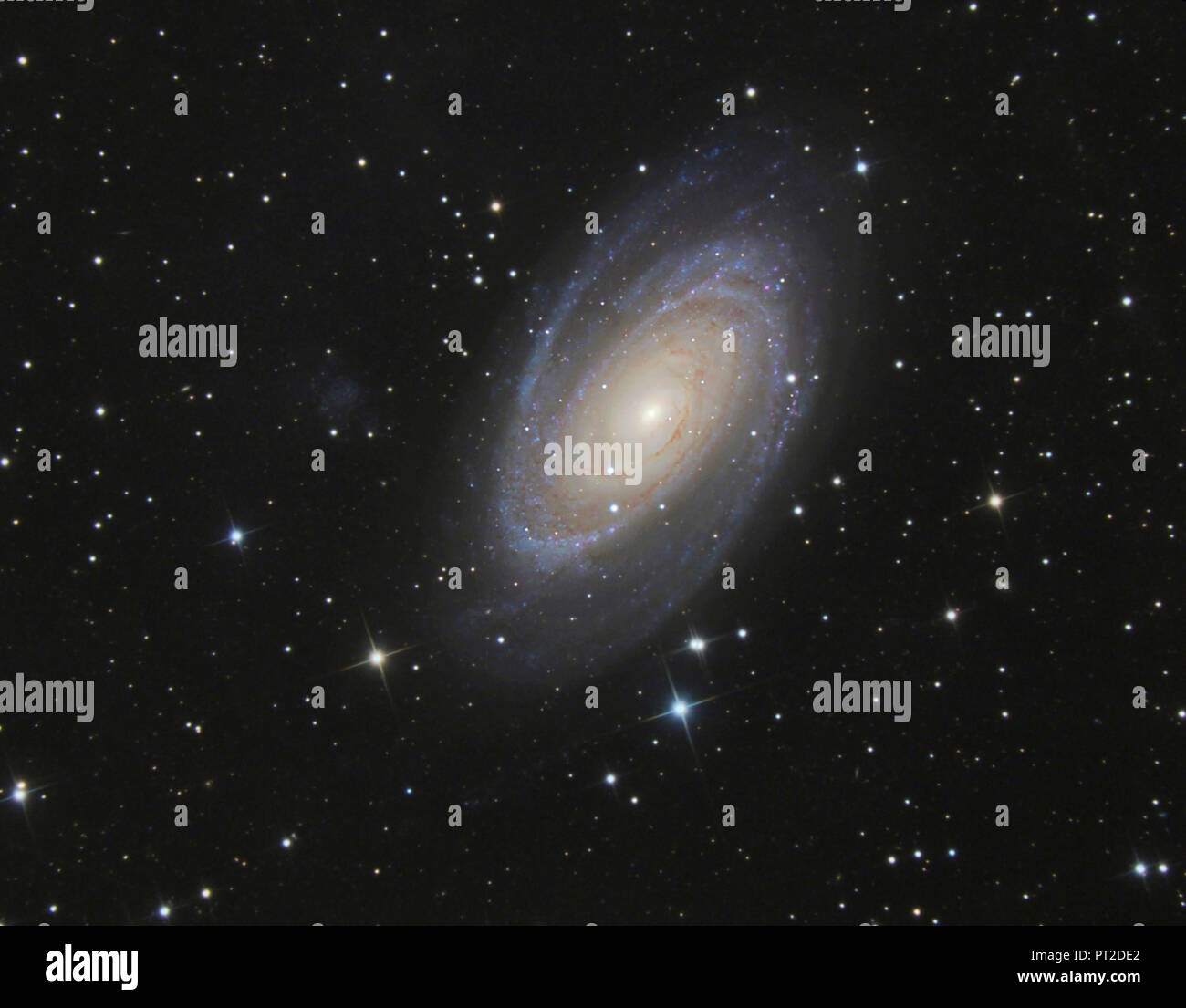La fotografia astronomica, galassia a spirale Messier 81 o di Bode Galaxy Foto Stock