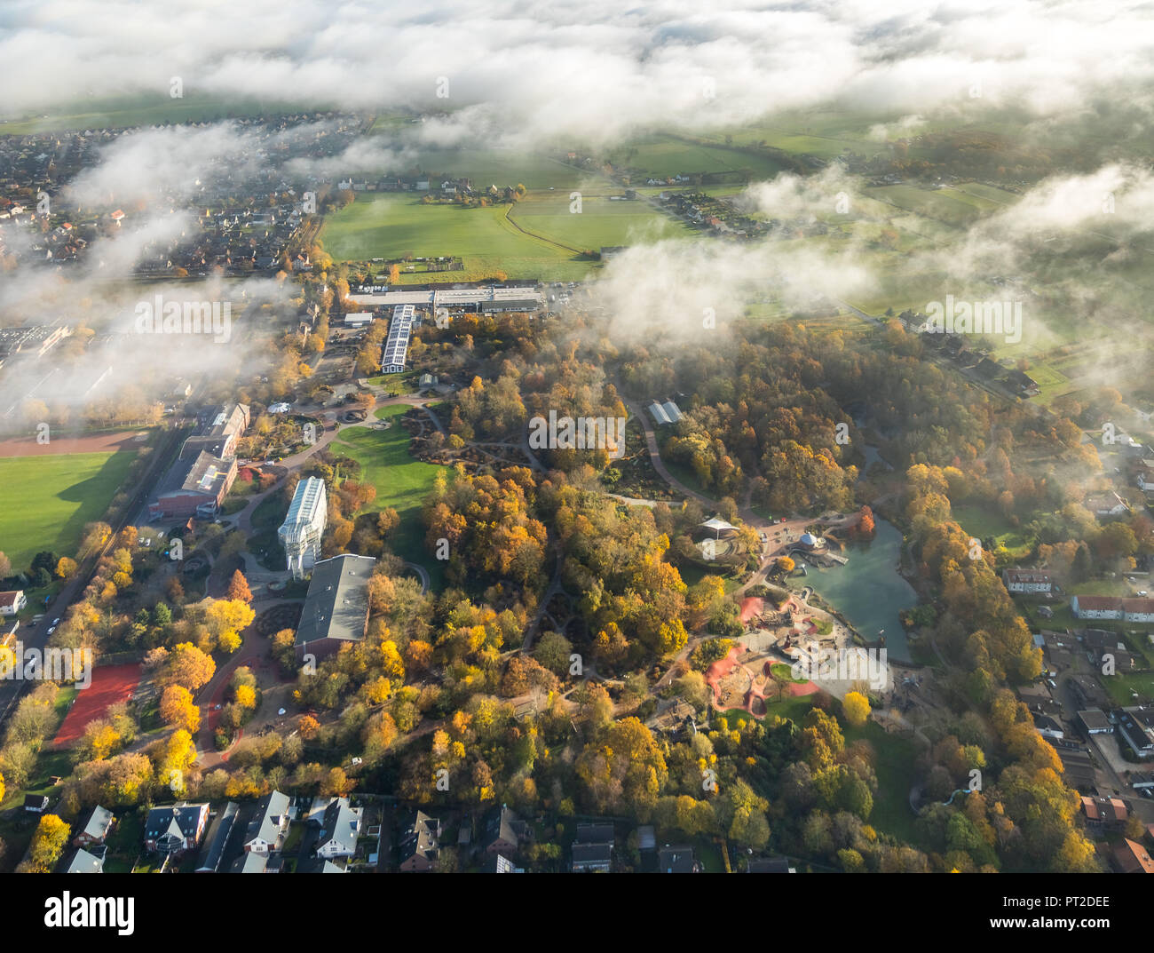 Maximilianpark nella nebbia mattutina, Landesgartenschau 1984, Massimiliano colliery, vetro elefante in Maximilianpark, area parcheggio sul sito dell'ex Massimiliano miniera di carbone, Hamm, la zona della Ruhr, Nord Reno-Westfalia, Germania Foto Stock