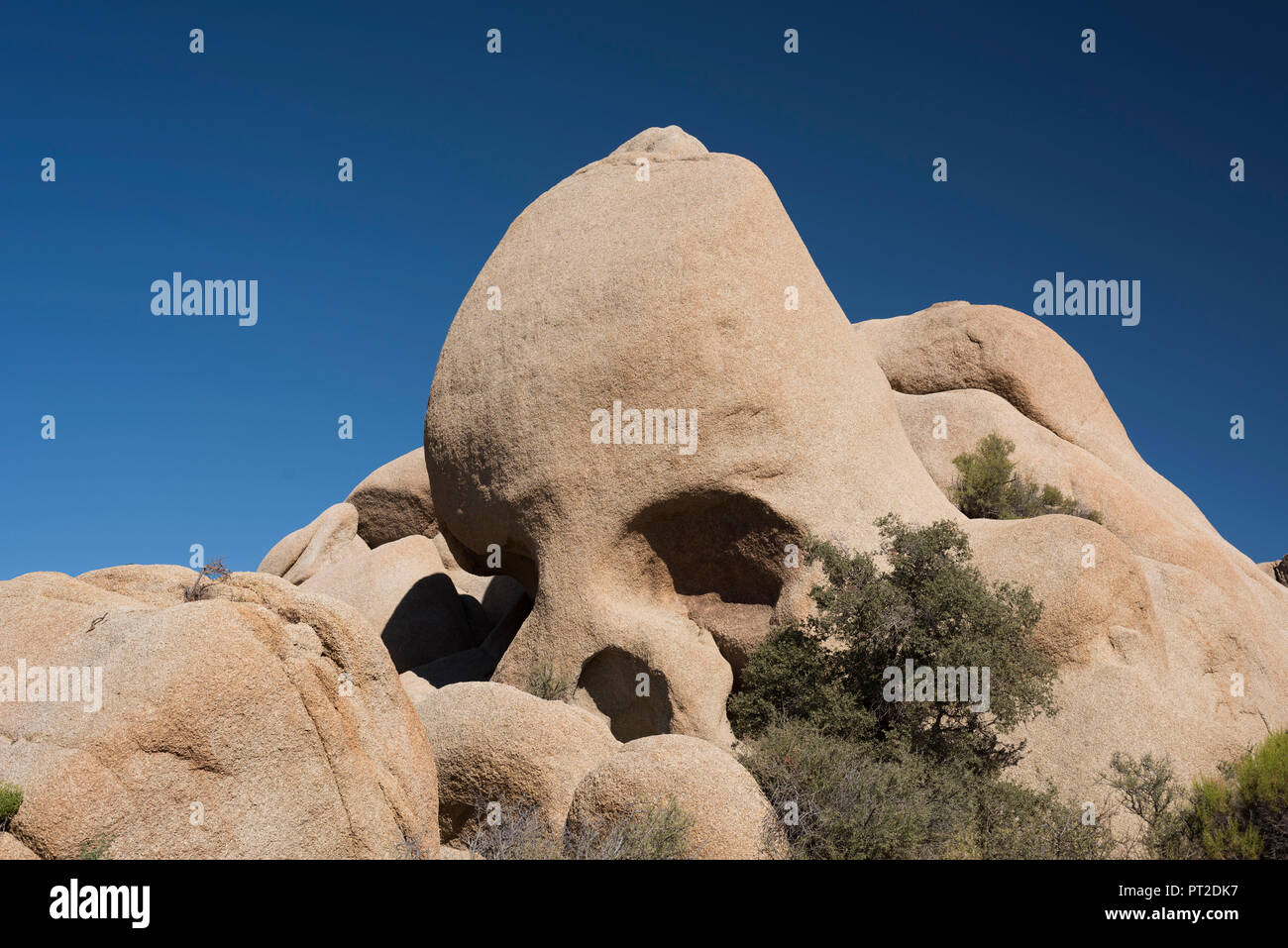 Stati Uniti d'America, Sud-ovest, California, Joshua Tree National Park, rocce, cranio Rock, Foto Stock