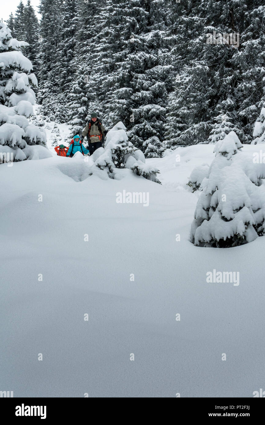 In Germania, in Baviera, Walchensee, Einsiedl, escursioni con le racchette da neve walker in discesa da Simetsberg attraverso di polvere fresca neve Foto Stock