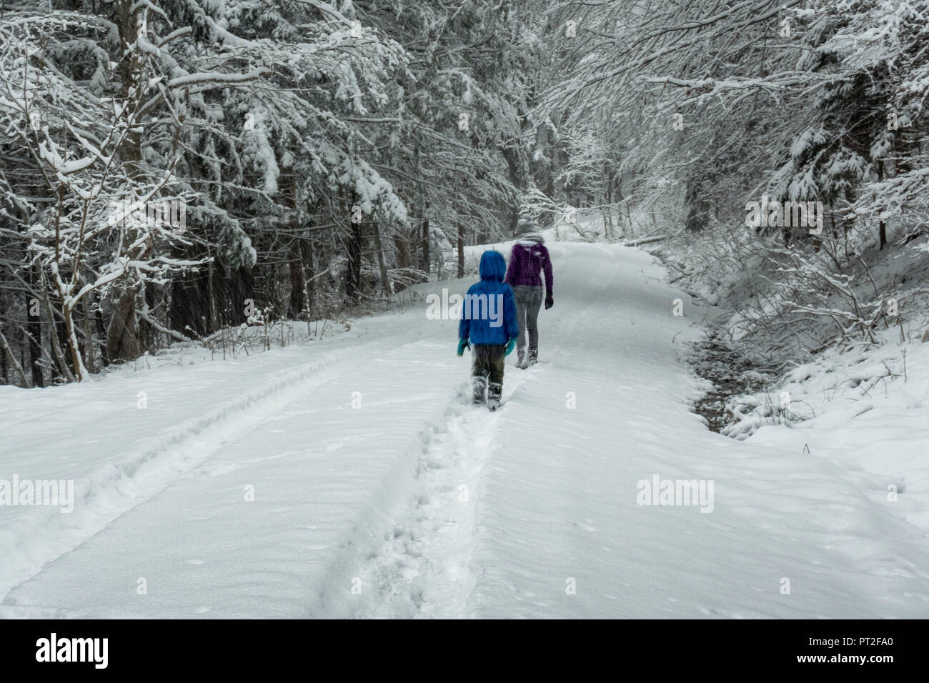 L'Europa, in Germania, in Baviera, Benediktbeuern, madre e figlio facendo un'escursione invernale attraverso la montagna innevata forest Foto Stock