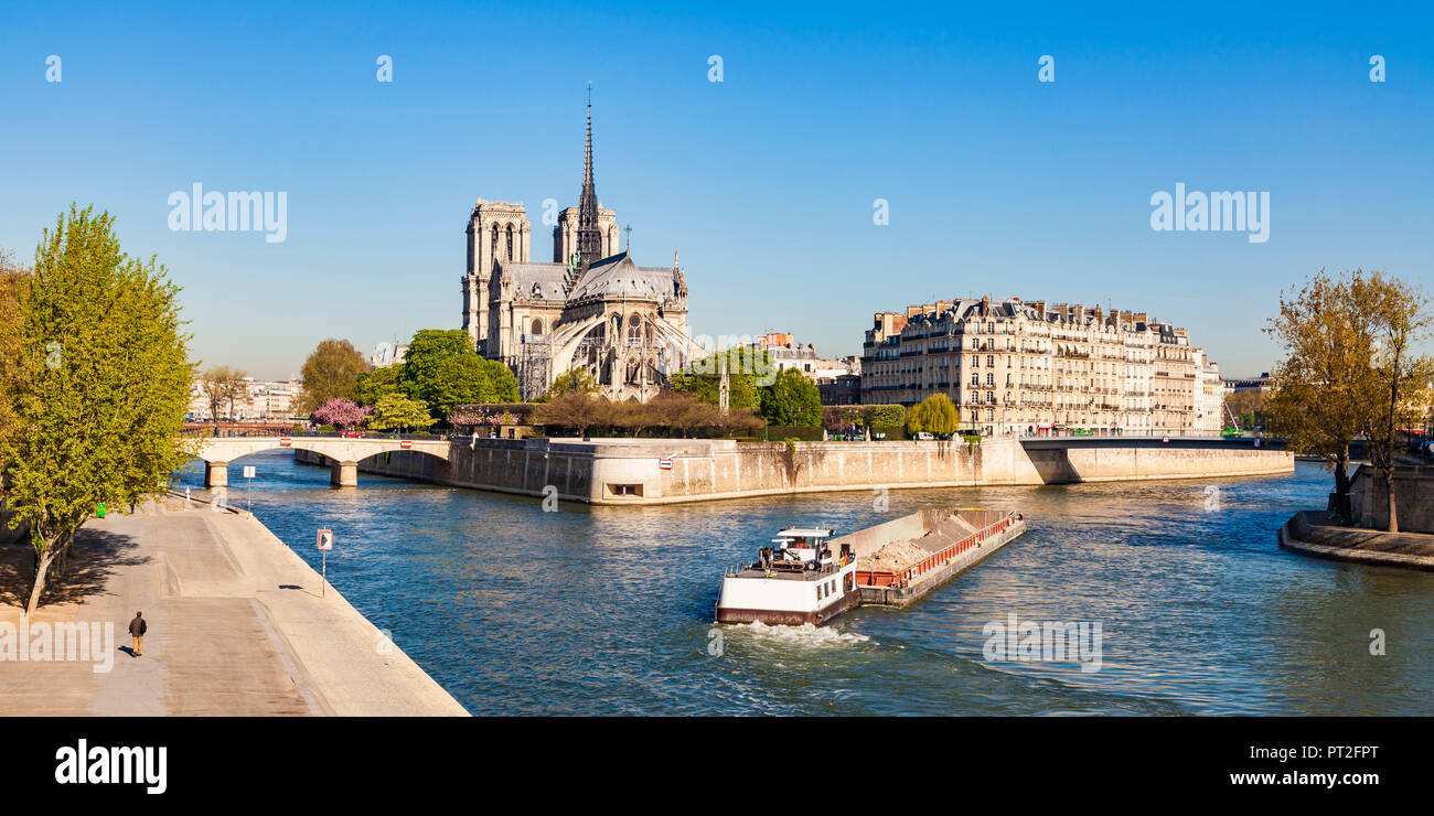 Francia, Parigi, la cattedrale di Notre Dame e spavento nave sul fiume Senna Foto Stock