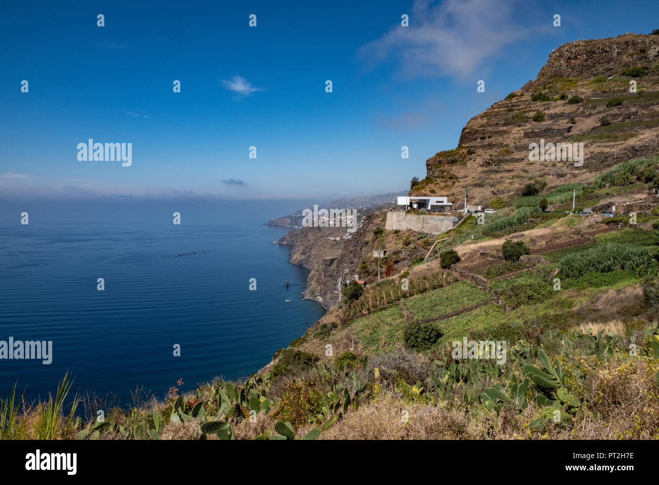 Distilleria di rum Calheta, isola di Madeira, Portogallo Foto Stock