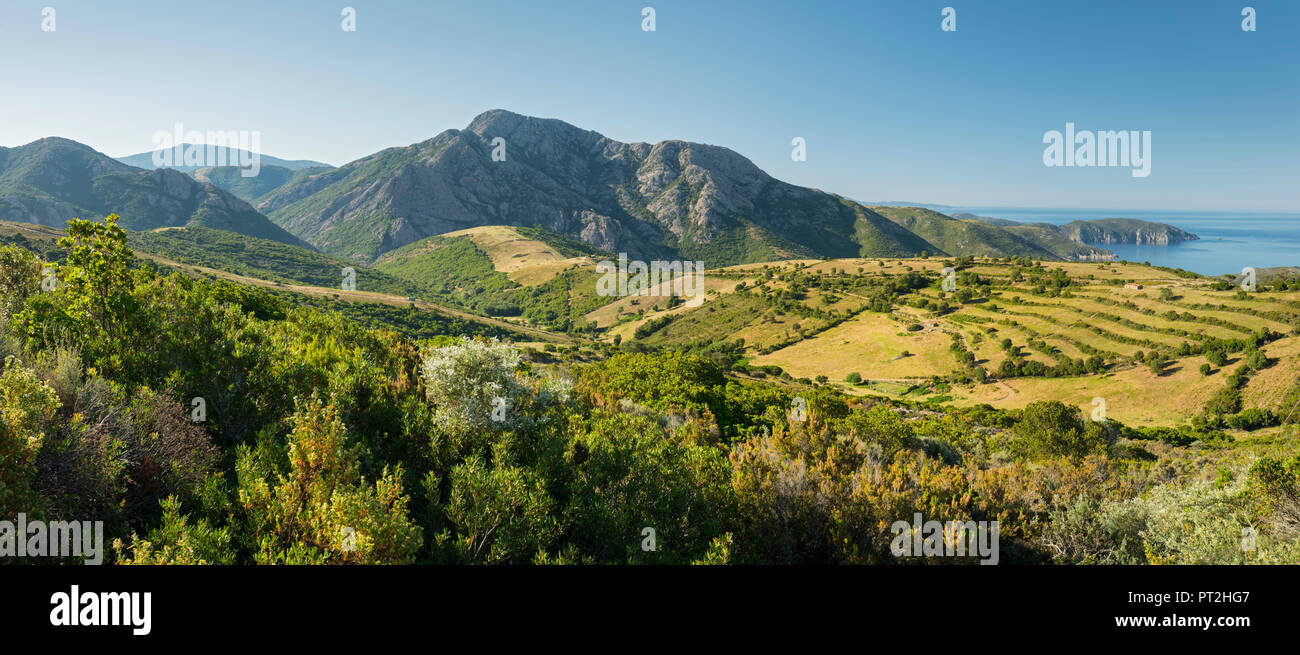 Paesaggio di d'Arone, Corsica, Francia Foto Stock