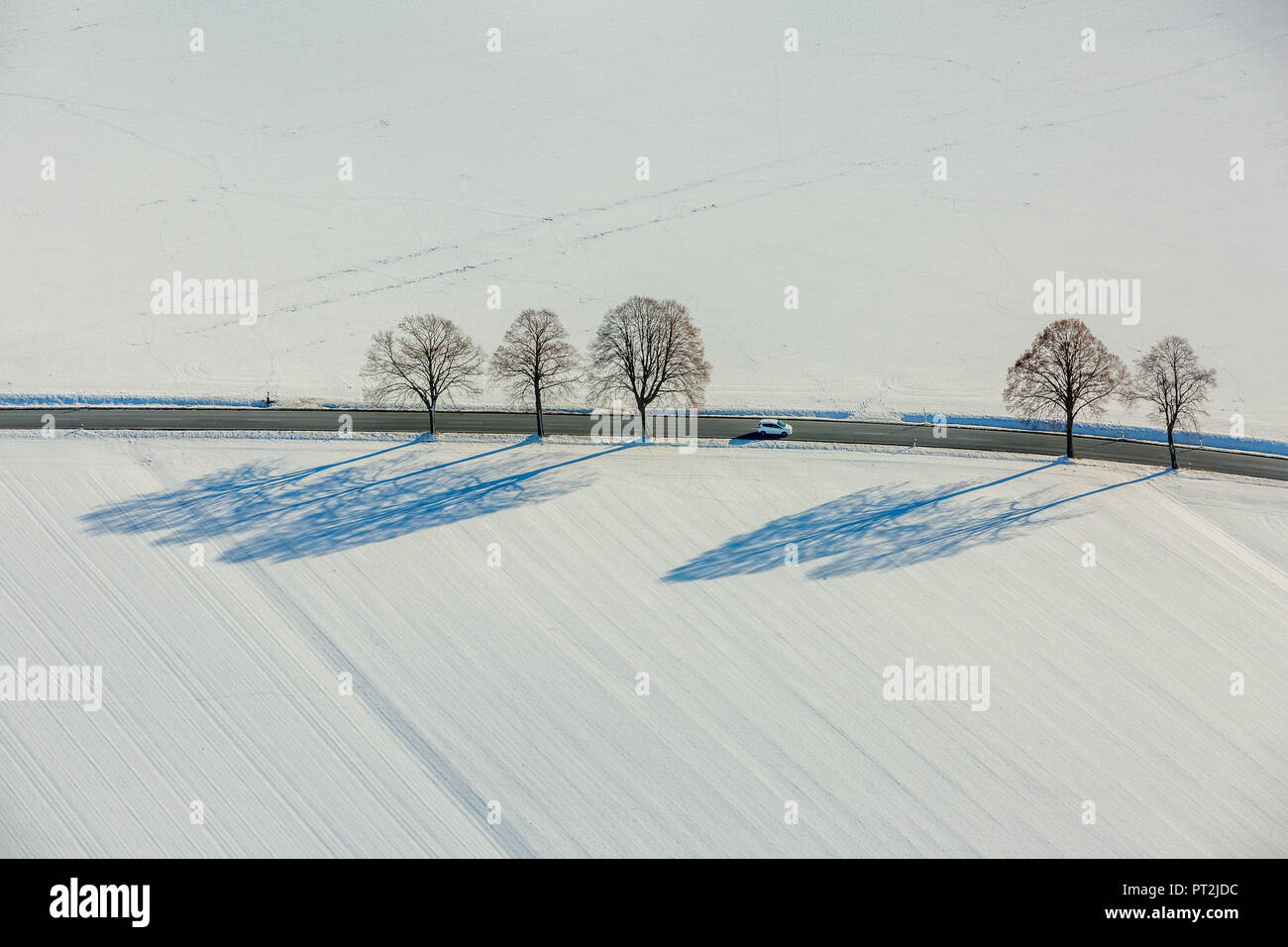 Sentieri escursionistici nei campi del Bodmen nella neve, il paesaggio invernale con filari di alberi, Warstein, Sauerland, Nord Reno-Westfalia, Germania Foto Stock