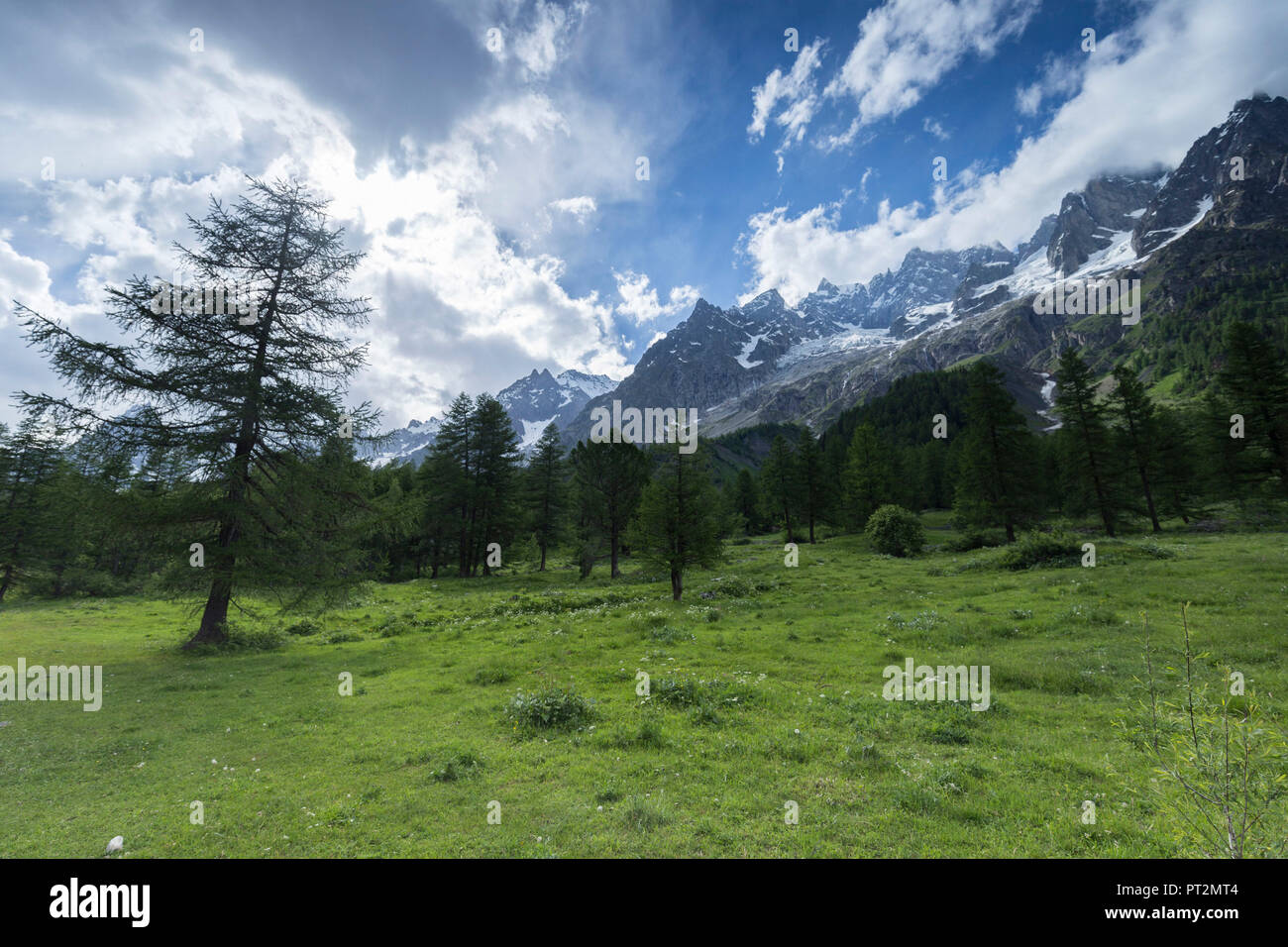 Val Ferret, Courmayeur, in Valle d'Aosta, Italia Foto Stock