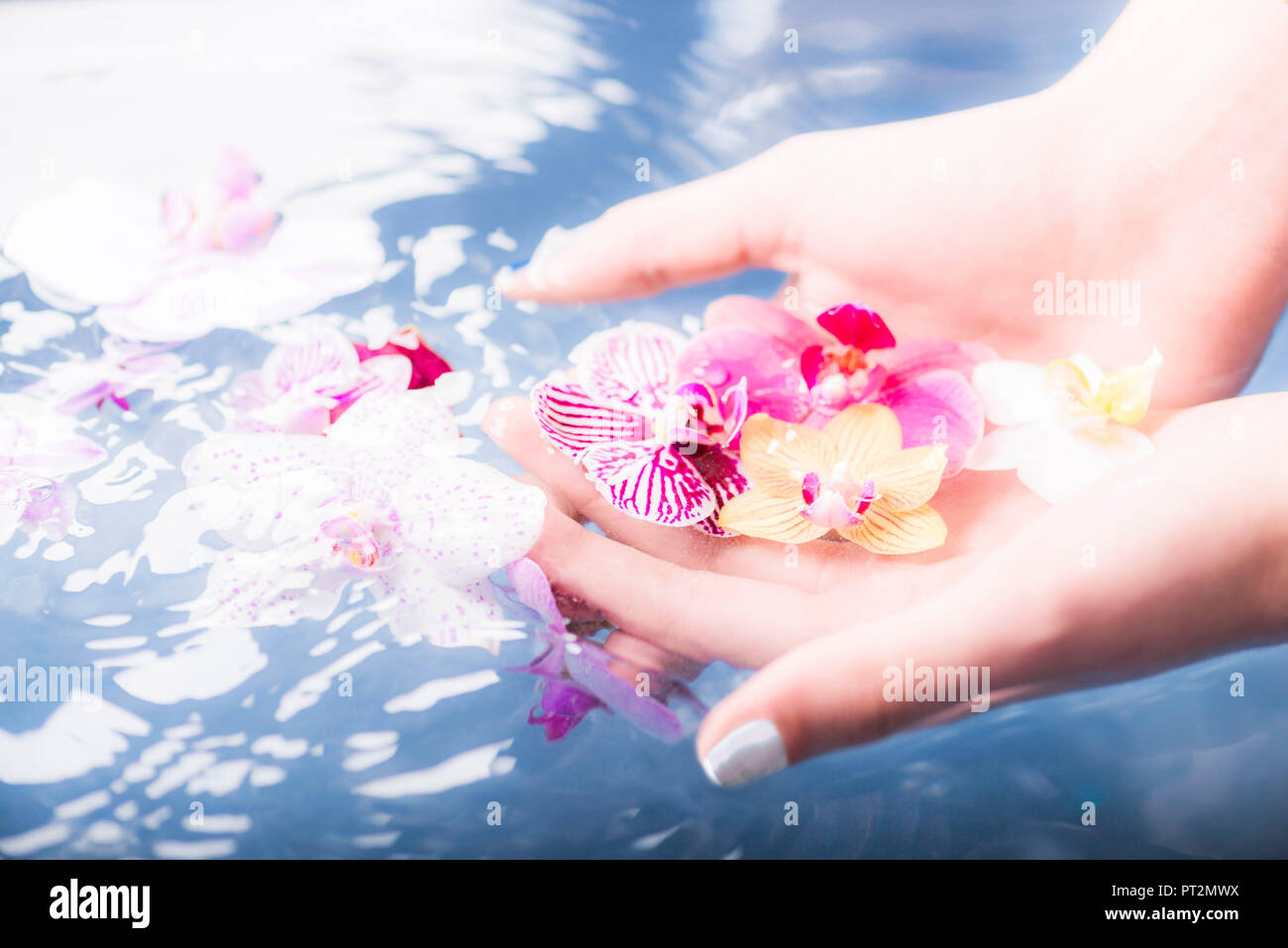 Dettagli, pubblicità, mani Mani con fiori, bellezza, still life, Foto Stock