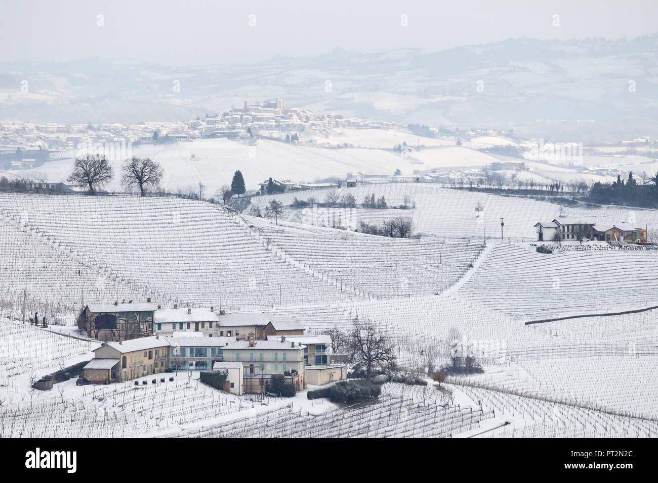 Le Langhe, Distretto di Cuneo, Piemonte, Italia, vino delle Langhe regione inverno Neve Foto Stock