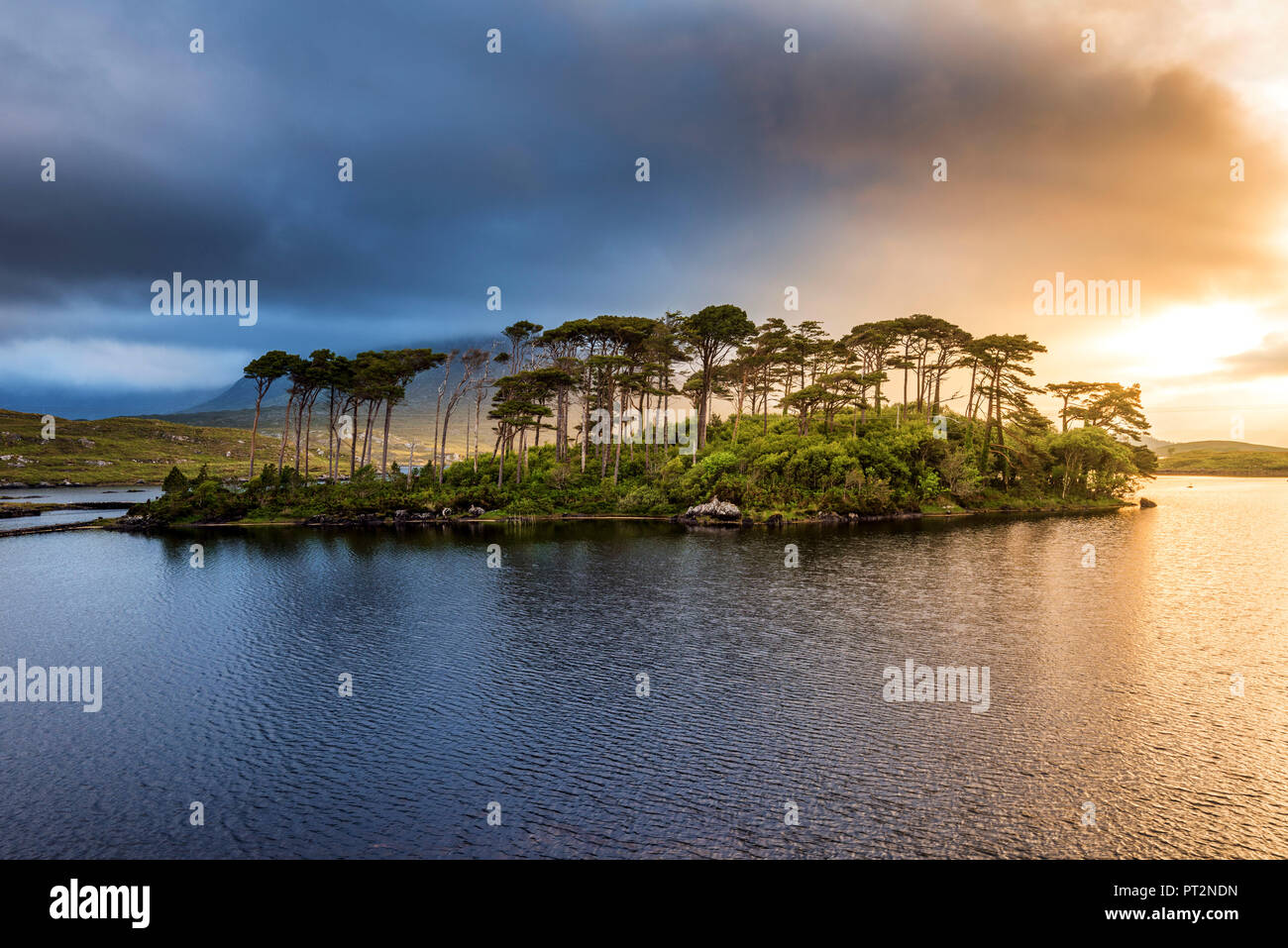 Connemara, nella contea di Galway, Connacht provincia, Irlanda, Europa, Lough Inagh lago con l'Isola dei Pini, Foto Stock