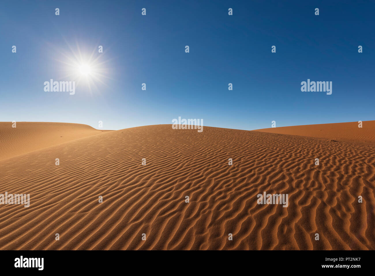 In Africa, la Namibia, il deserto del Namib Naukluft, Parco Nazionale, dune di sabbia contro il sole Foto Stock