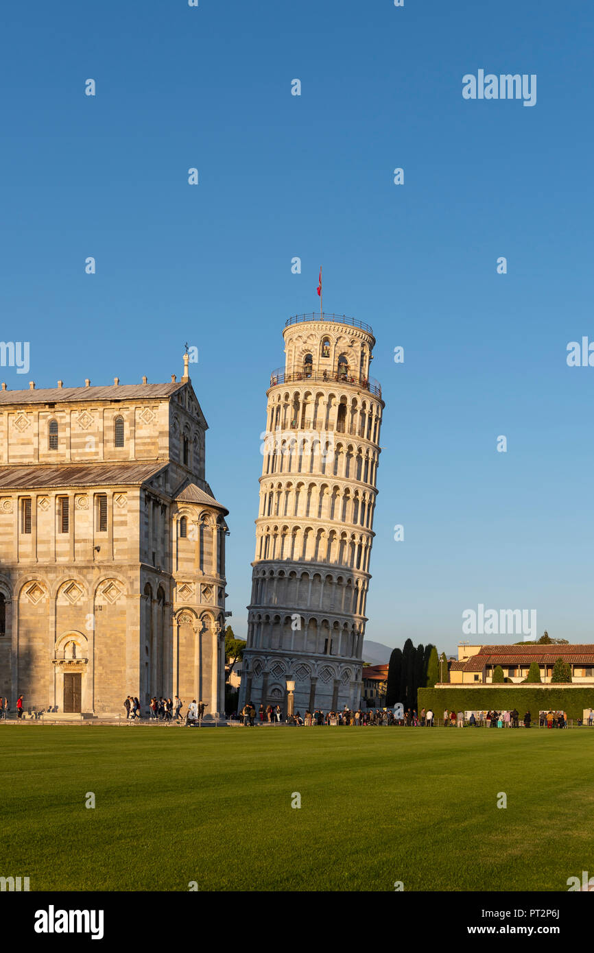 L'Italia, Toscana, Pisa, vista del Duomo di Pisa e la Torre Pendente di Pisa da Piazza dei Miracoli nella luce della sera Foto Stock