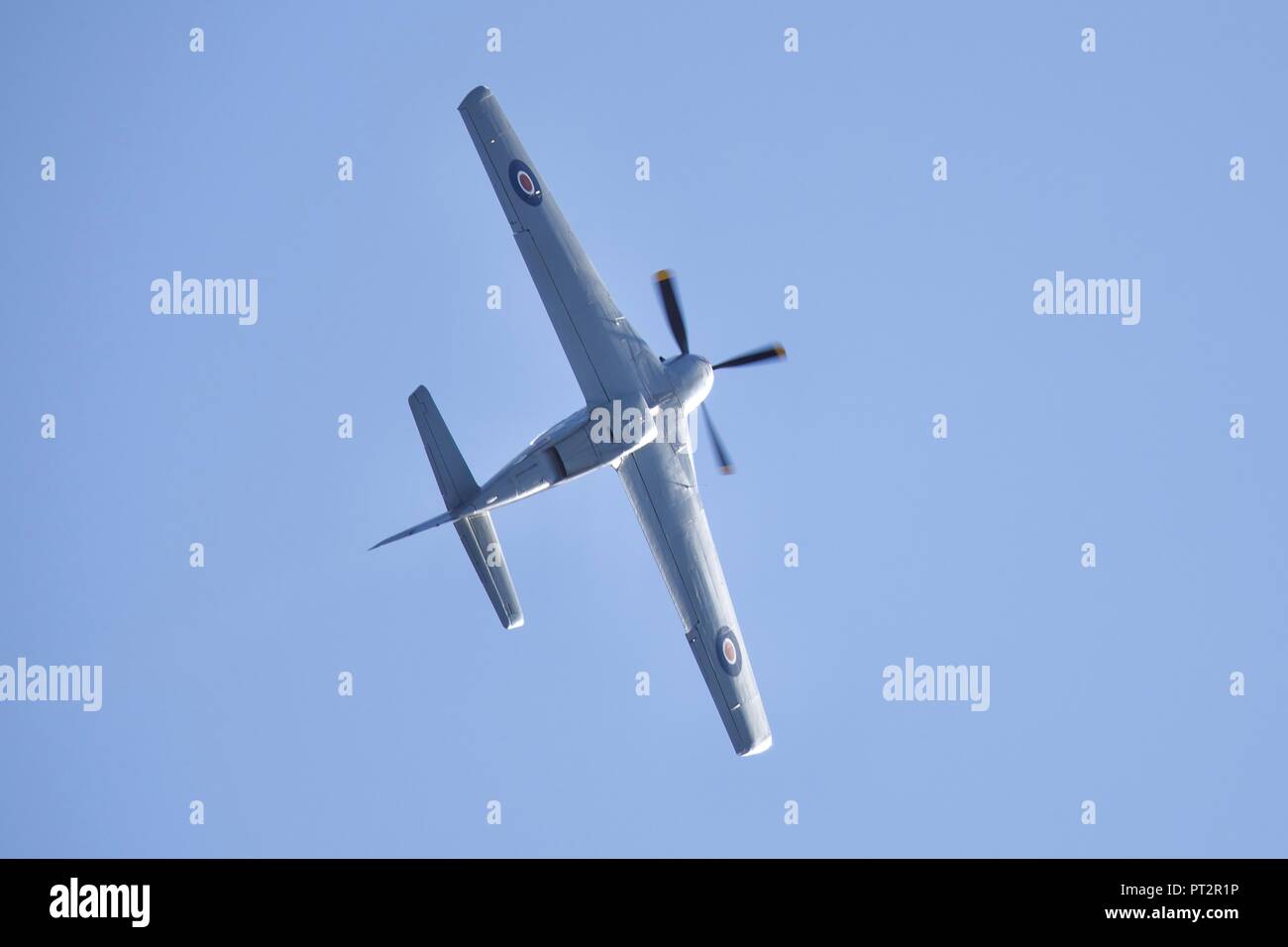 North American P Mustang D G-SHWN 'Lo Squalo' visualizzazione all'IWM Duxford Battaglia di airshow di Gran Bretagna il 23 settembre 2018 Foto Stock