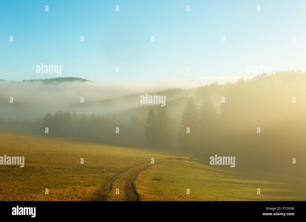 Austria, Austria superiore, regione del Salzkammergut, Mondsee, paesaggio nella nebbia di mattina Foto Stock