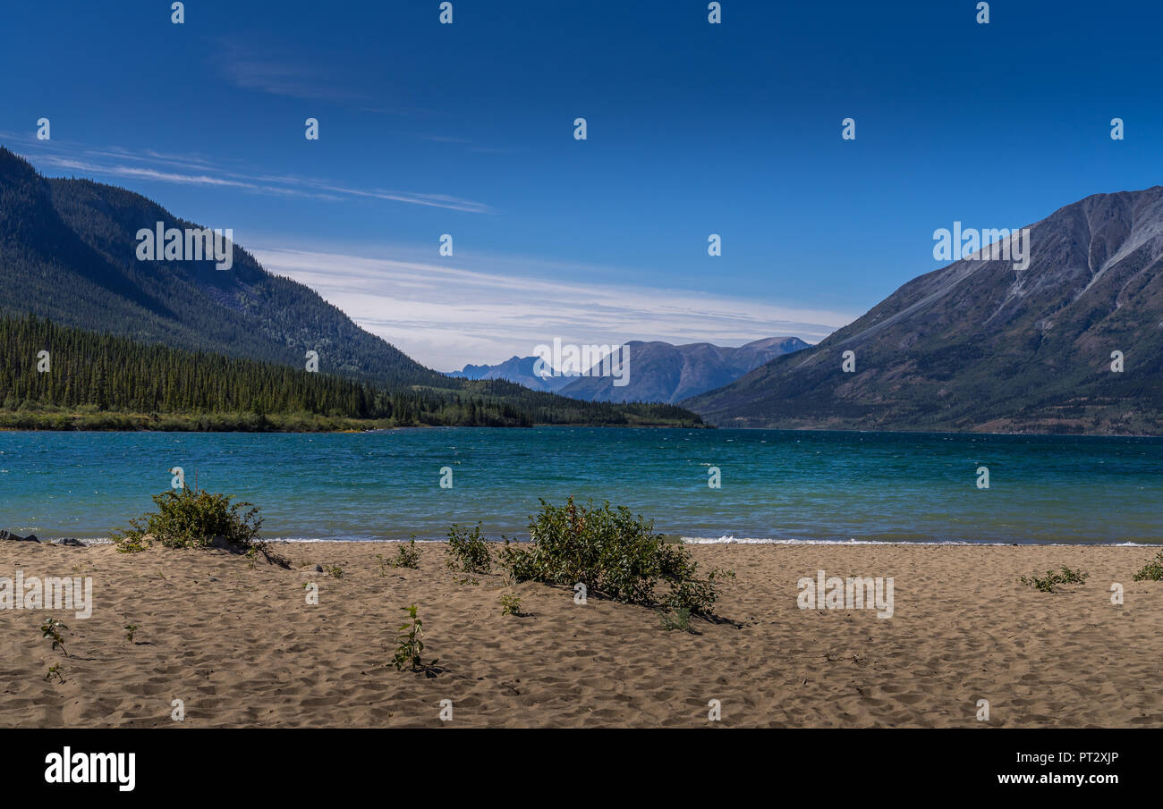 Benet Lago e spiaggia di Carcross, Yukon Canada Foto Stock