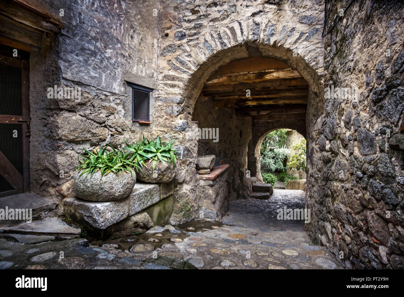Pavimentazione di pietra, aloe vera piante in contenitore in pietra e arco in pietra Foto Stock