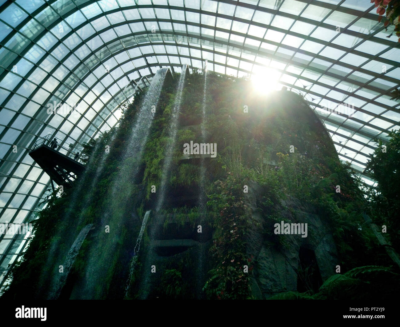 Mondo Perduto a giardini dalla baia, Singapore, architetti: Wilkinson Eyre Architects, Grant Associates, 2011. Cloud Forest Dome Foto Stock