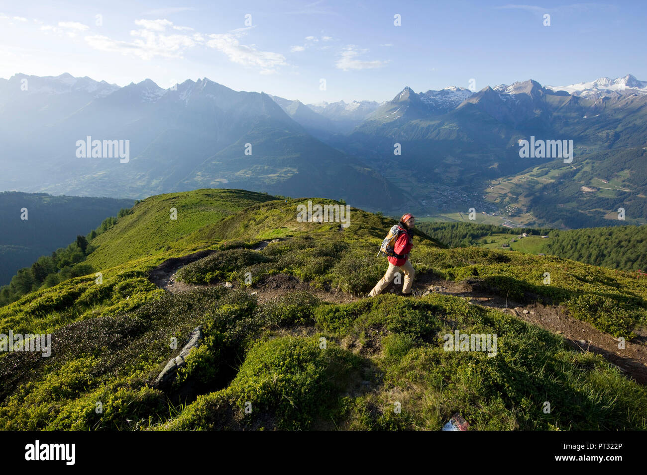 Escursionismo in scena al picco Ganitzle, Alti Tauri, Tirolo orientale, Austria Foto Stock