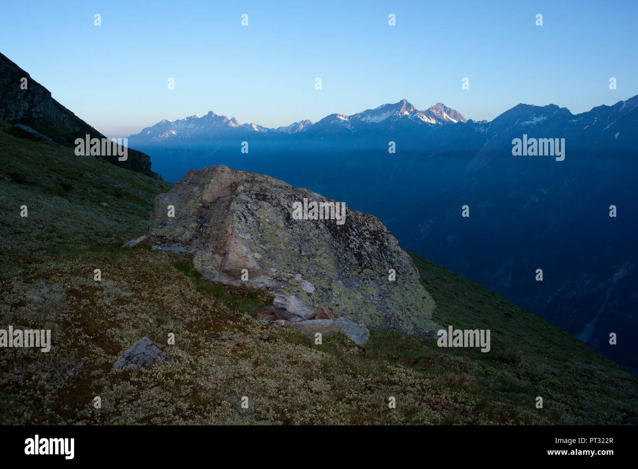 Alba a Ganatsch pascolo alpino, Alpi Lechtal, Tirolo, Austria Foto Stock