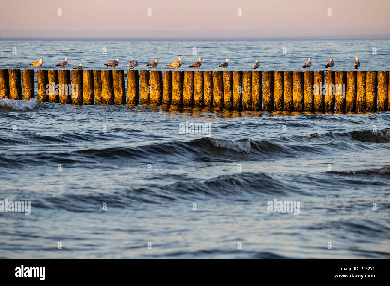 Europa, Polonia, West Pomerania voivodato, Kolobrzeg / Kolberg, spiaggia Foto Stock