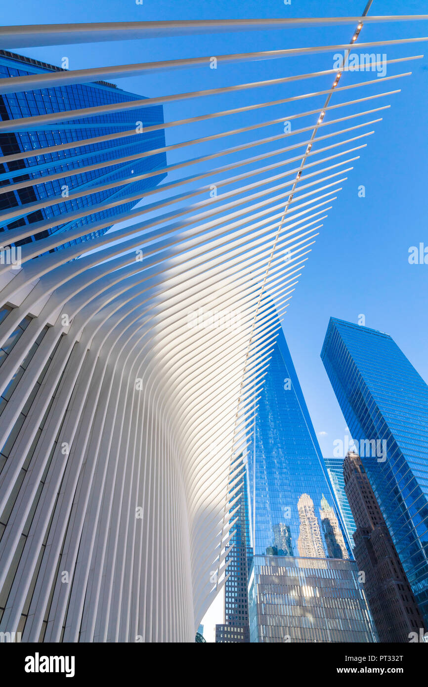 L'occhio edificio da Santiago Calatrava, One World Trade Center, la parte inferiore di Manhattan, New York City, Stati Uniti d'America Foto Stock