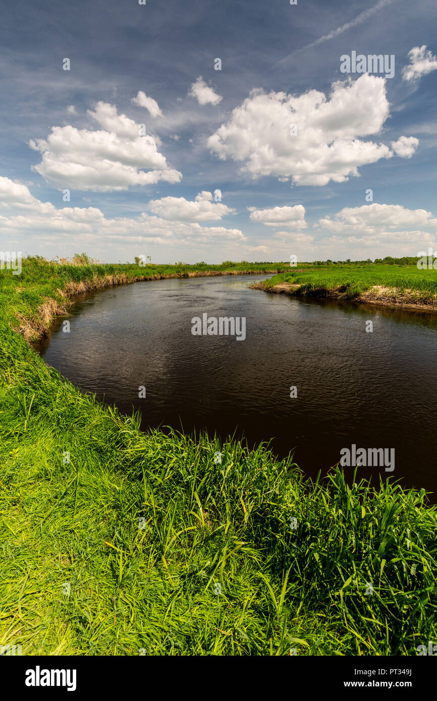 L'Europa, Polonia, Voivodato Podlaskie, Jasionowo - fiume Biebrza Foto Stock