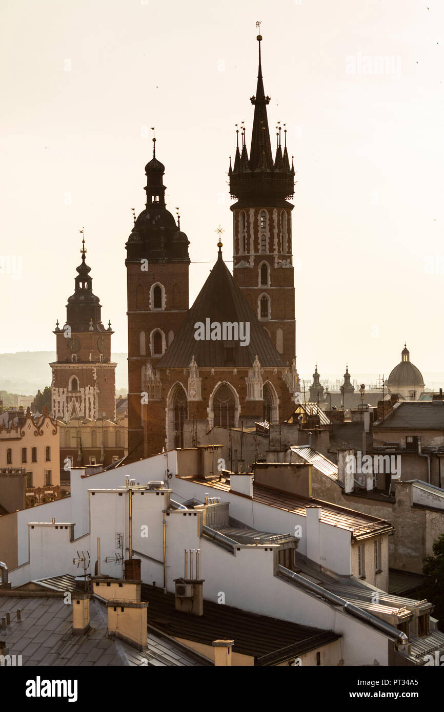 L'Europa, la Polonia, la Piccola Polonia, Cracovia, vista dall Accademia di Musica - Santa Maria la Basilica di Foto Stock