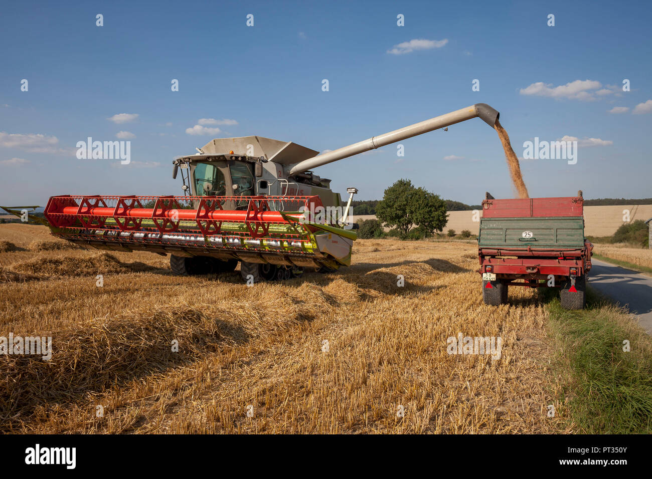 Mietitura del grano sul Haarstrang in Soester Börde, in secca calda estate 2018, Germania, Foto Stock