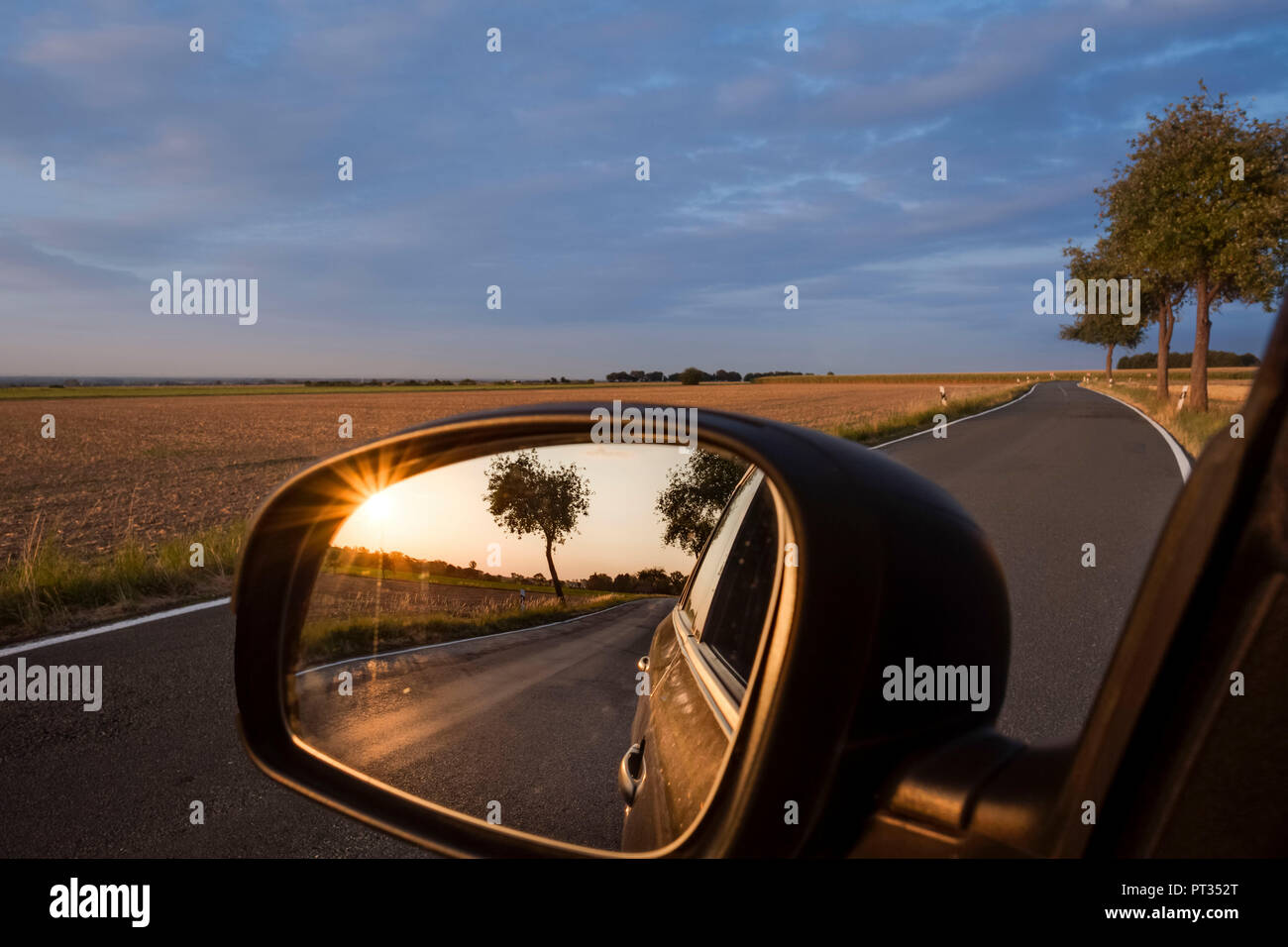 Tramonto con melo riflessa in specchio auto mentre su raod viaggio su Haarstrang, Soester Börde, Germania, Foto Stock
