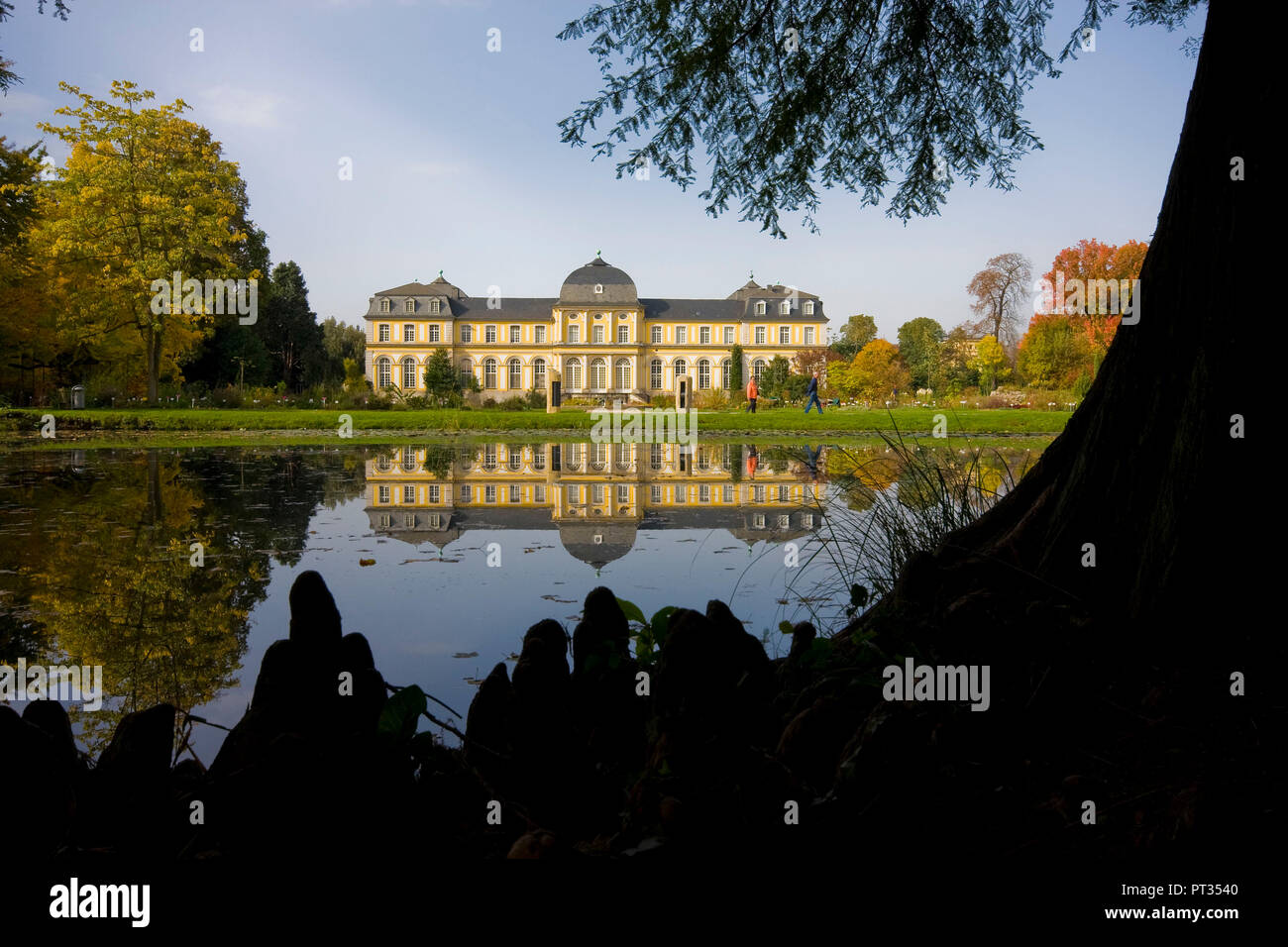 Castello tedesco riflettendo nel lago in autunno Poppelsdorfer Schloss nel Giardino botanico di Bonn, Germania, Foto Stock