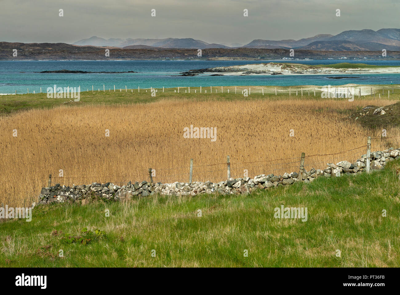 Tipico Ovest dell Irlanda paesaggio, nel profondo della lingua irlandese regione conosciuta come la regione di Gaeltacht . L'Europa, l'Irlanda, Galway, Connemara Foto Stock