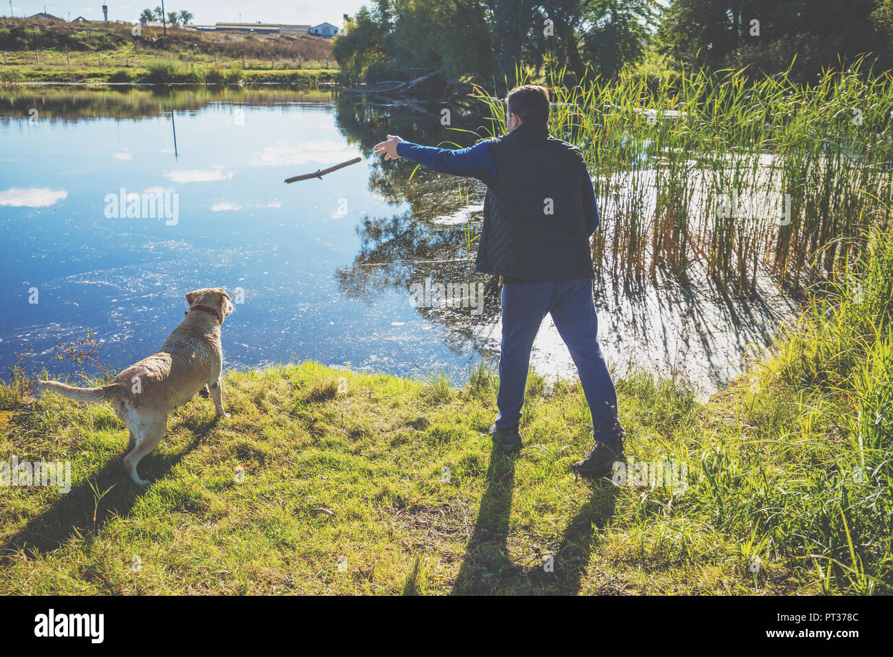 Un uomo con il Labrador retriever cane passeggiate sul lungolago in autunno. L'uomo treni il cane e getta il bastone in acqua Foto Stock