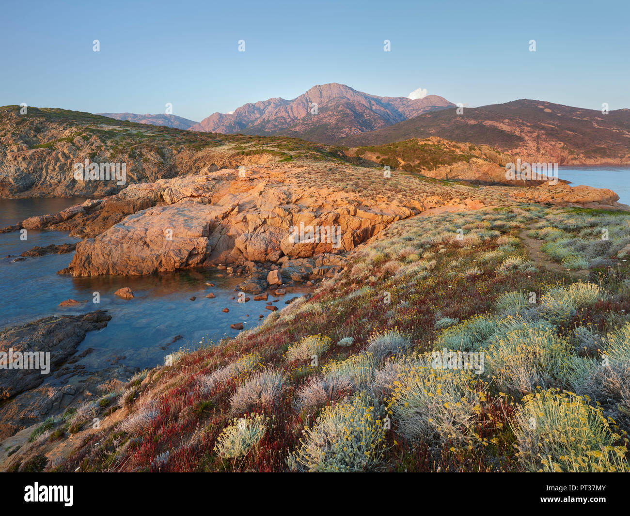 Atmosfera serale a Capu Rossu, d'Arone, Corsica, Francia Foto Stock