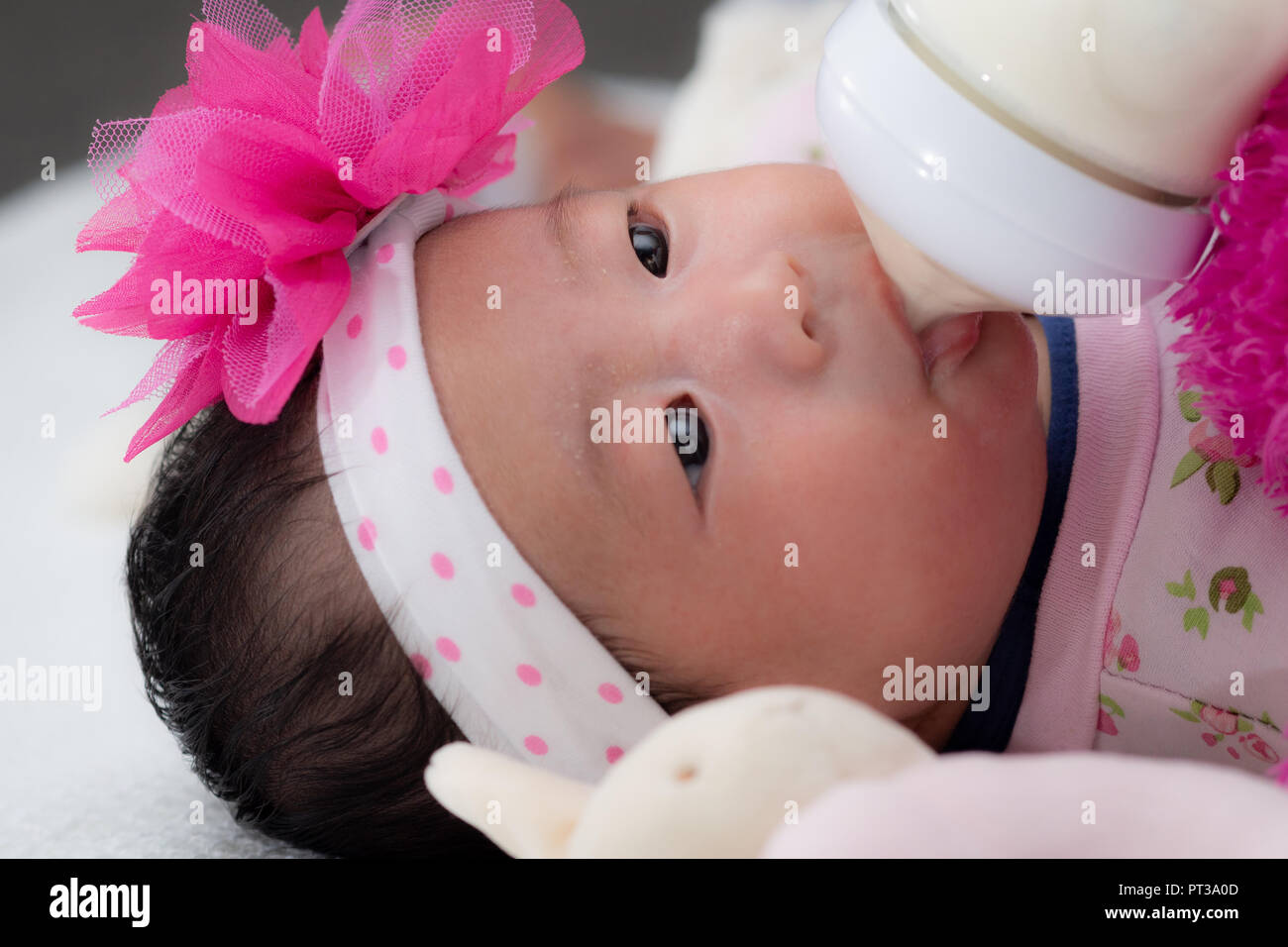 4 settimane di età neonato alimentazione dalla bottiglia di latte Foto Stock