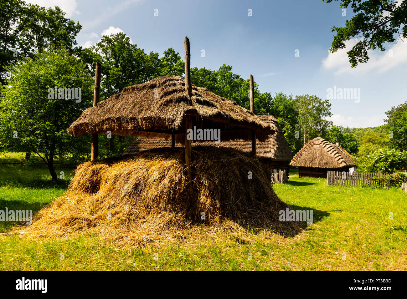 L'Europa, Polonia, Voivodato Masovian, Radom Village Museo / Muzeum Wsi Radomskiej Foto Stock