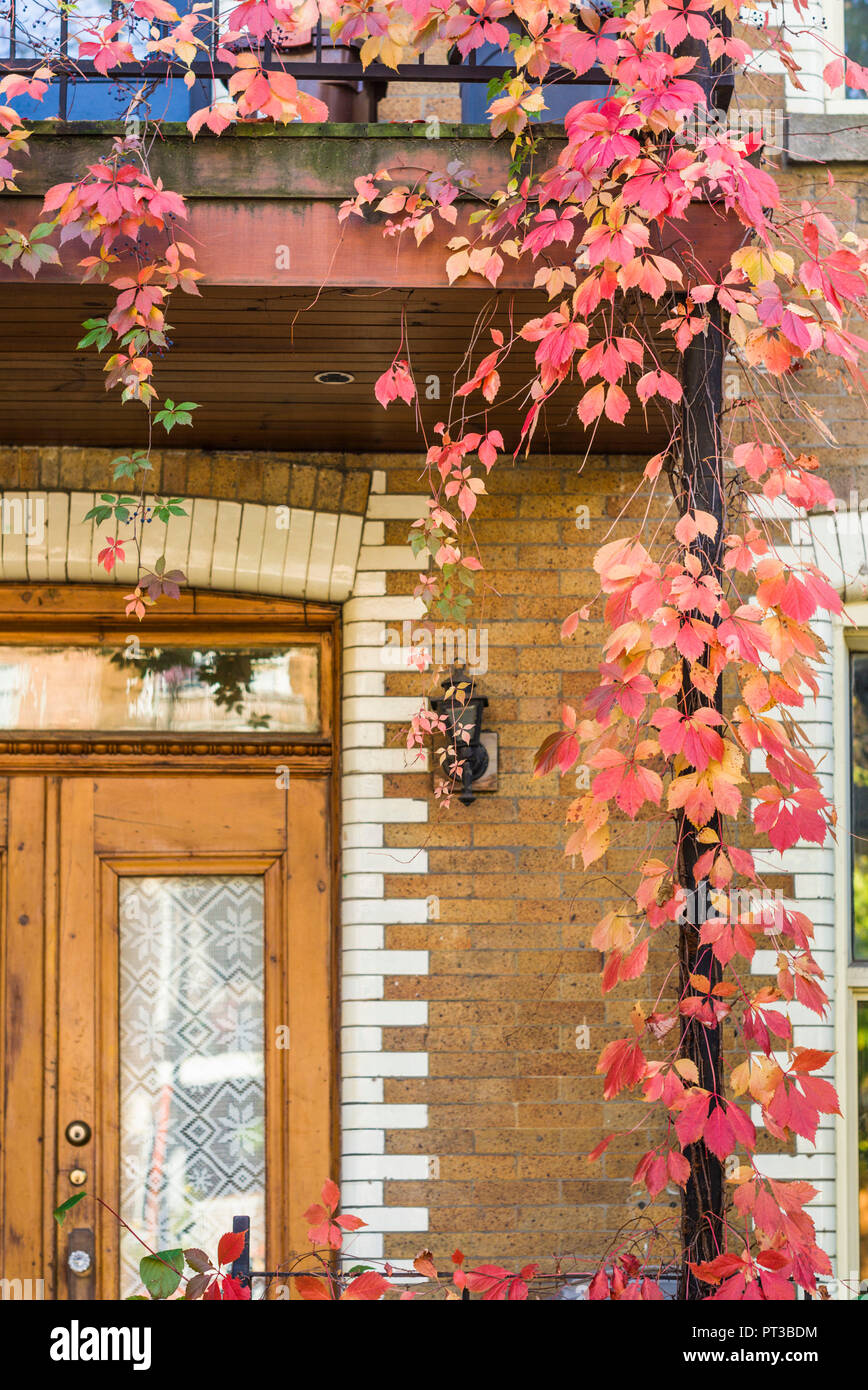 Canada Quebec, Montreal, Rue St-Denis, porta autunno Foto Stock