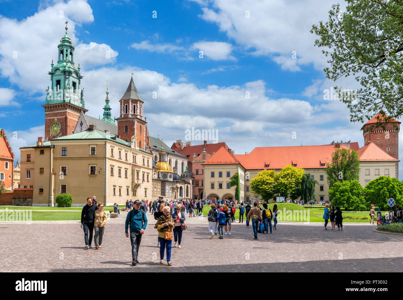 Cattedrale di Wawel e dal castello di Wawel, Wawel, Cracovia, in Polonia Foto Stock