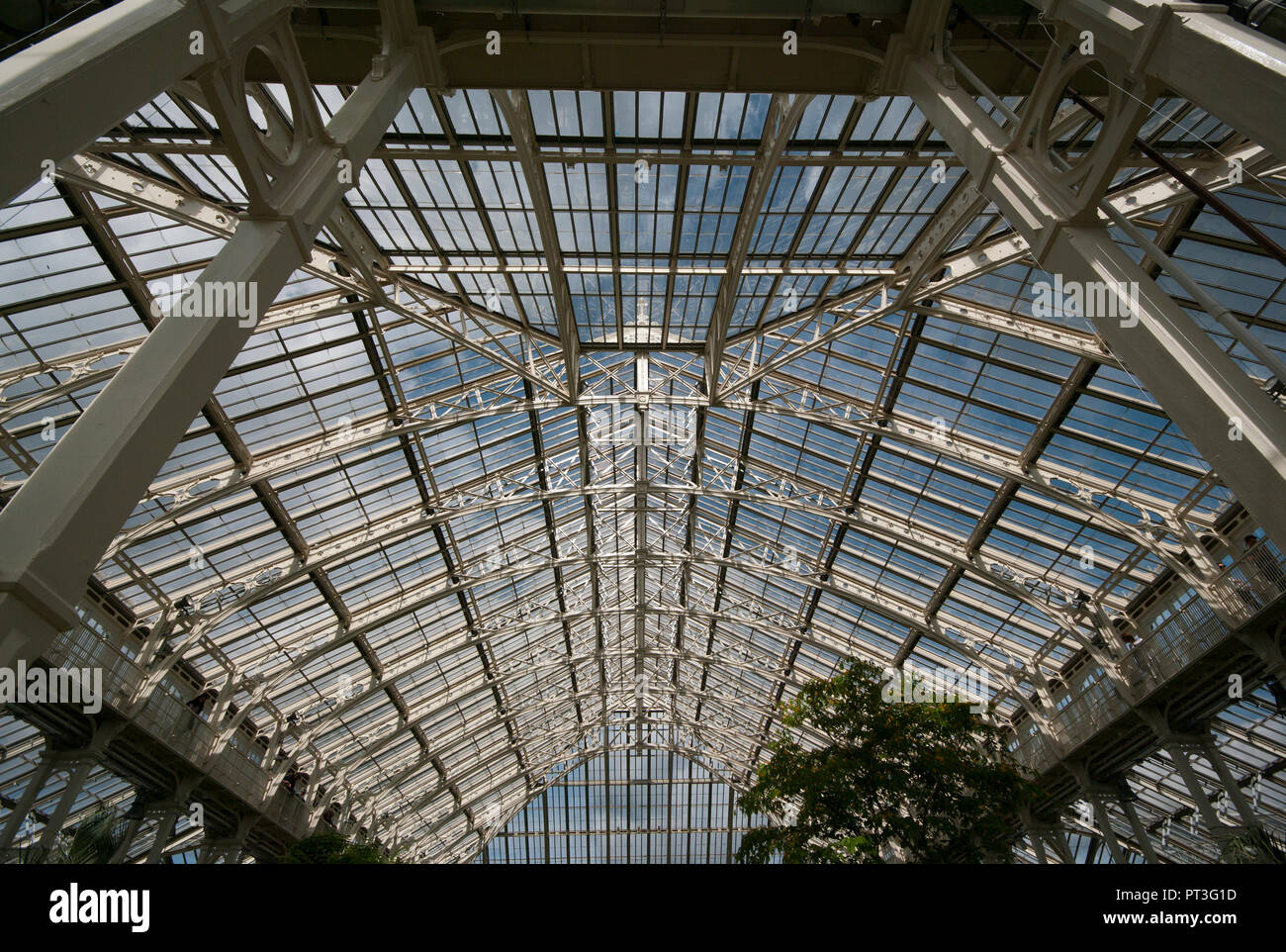 Il vetro e il tetto della struttura di metallo della Casa Clima temperato in Royal Botanic Gardens di Kew Gardens Londra Inghilterra REGNO UNITO Foto Stock