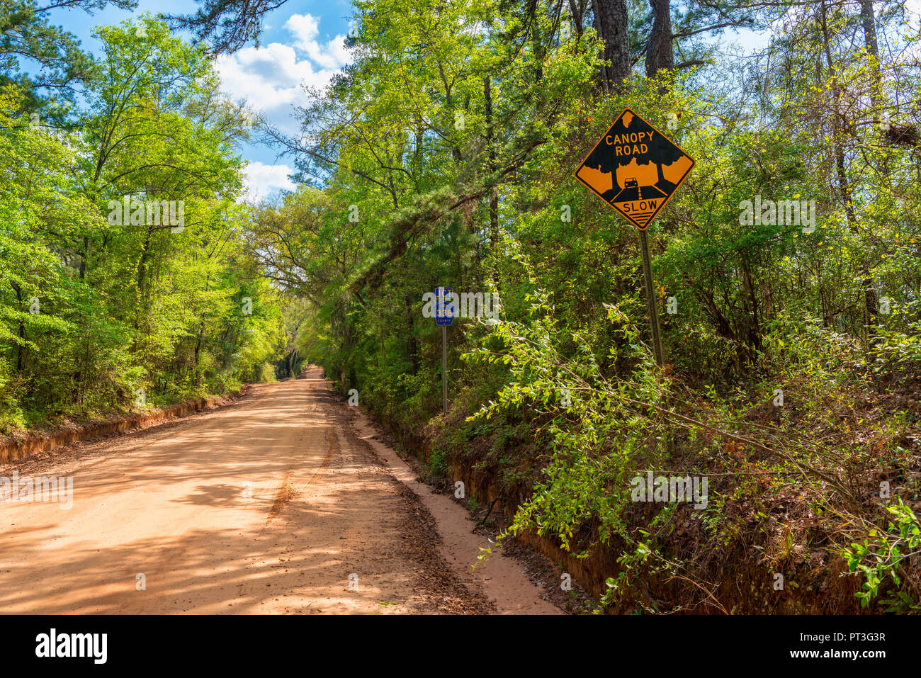 La tettoia strada in Leon County, Florida USA, vicino alla frontiera con la Georgia Foto Stock