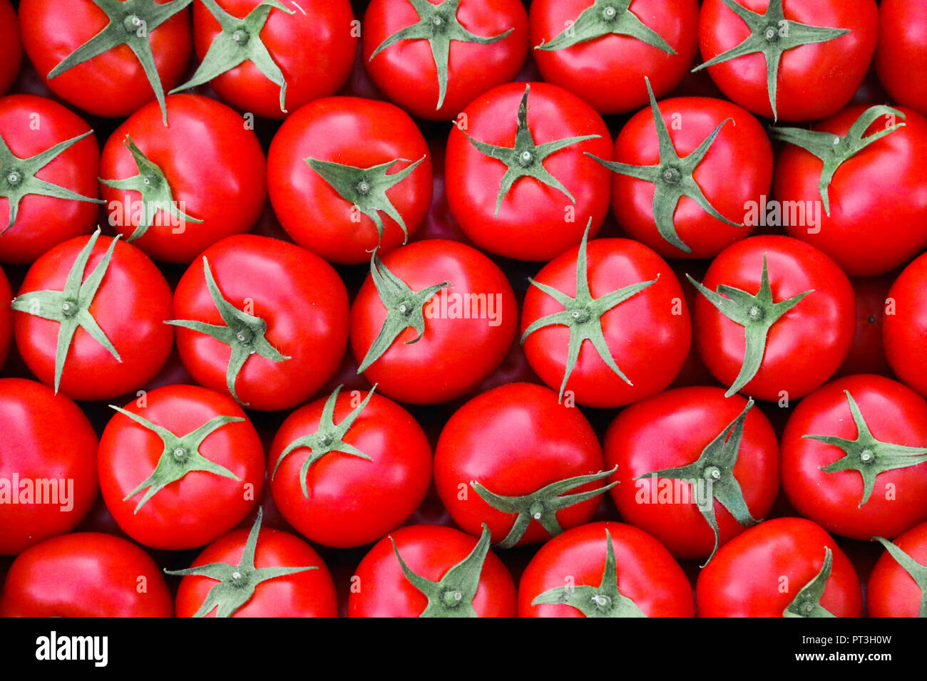 Ungherese freschi pomodori rossi dal fruttivendolo marketplace. Molto gustosa e sempre fresco e sano cibo vegan. Foto Stock