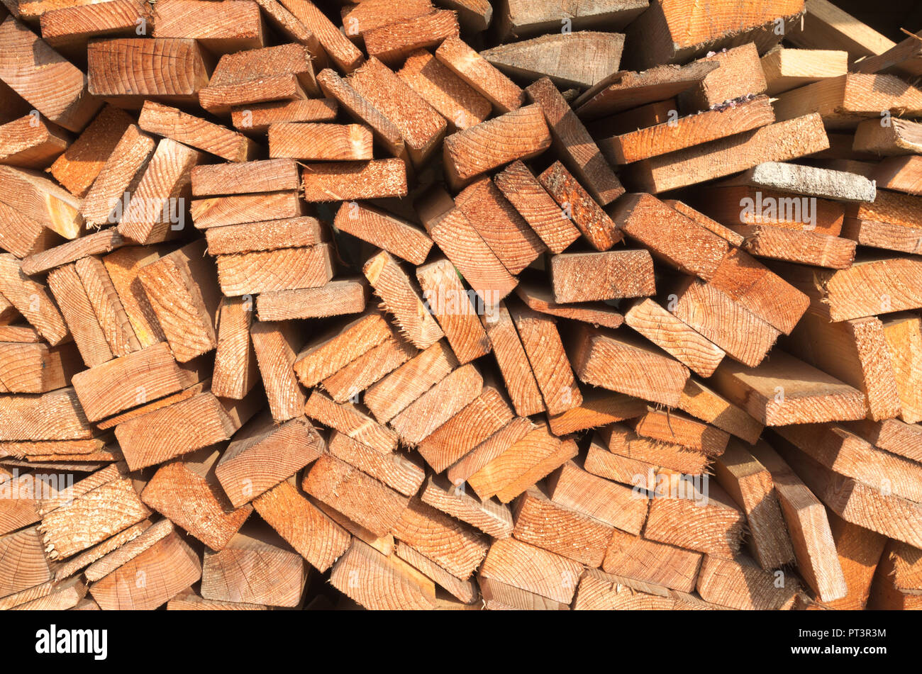Log in legno fette Foto Stock