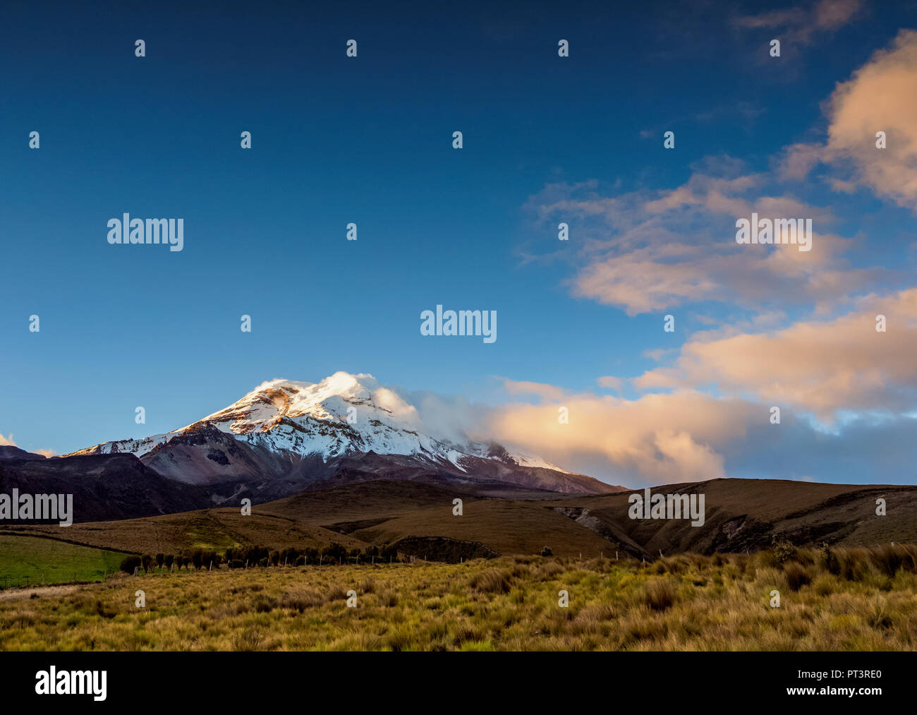 Vulcano Chimborazo al tramonto, Provincia del Chimborazo, Ecuador Foto Stock