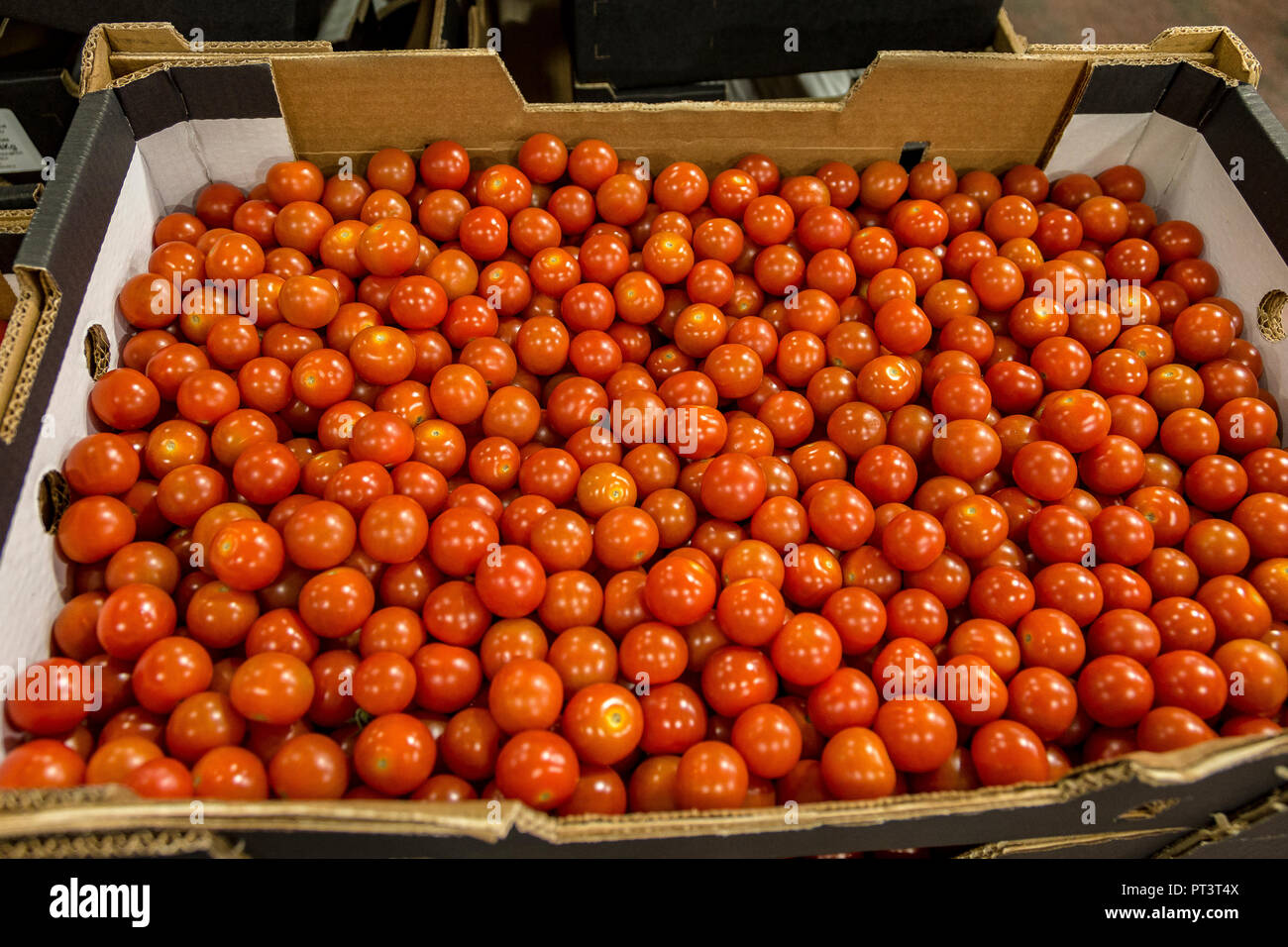 La produzione alimentare nel Regno Unito - frutta, verdure, insalate preparate, vita sana Foto Stock