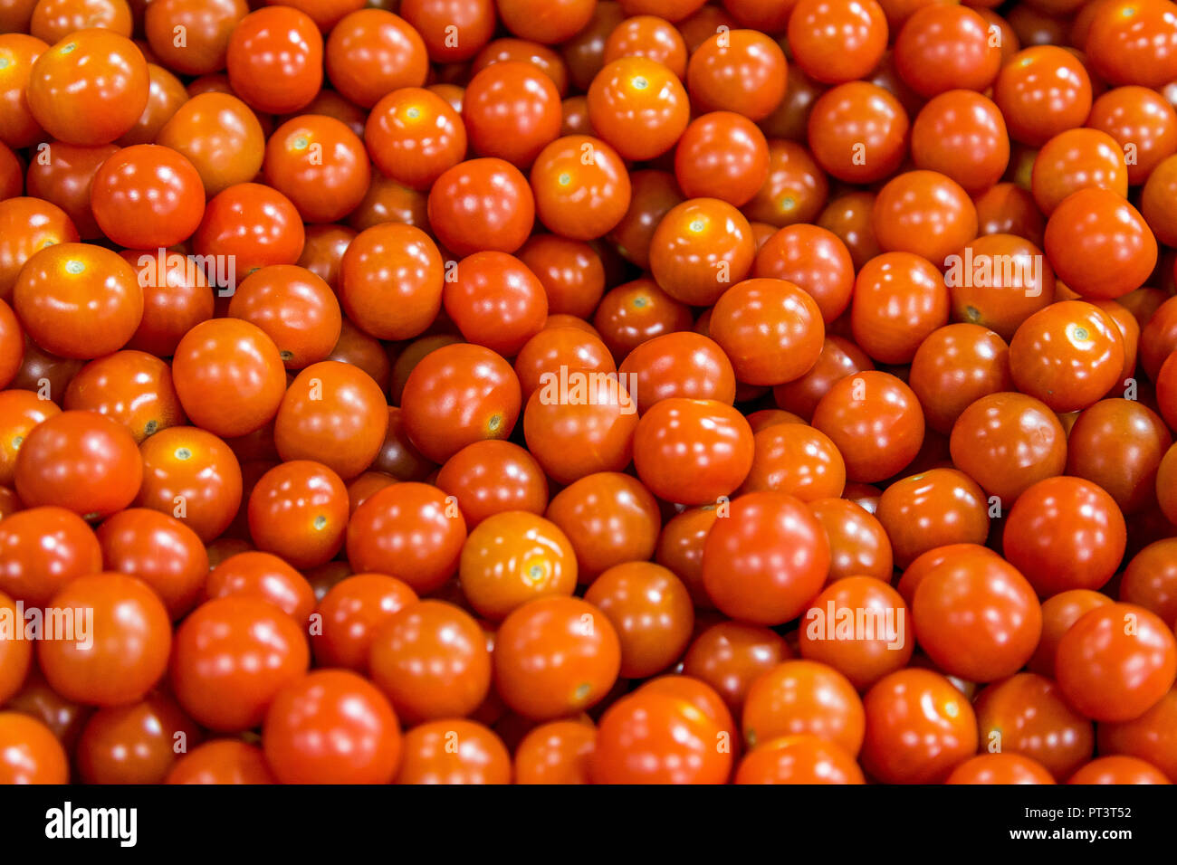 La produzione alimentare nel Regno Unito - frutta, verdure, insalate preparate, vita sana Foto Stock