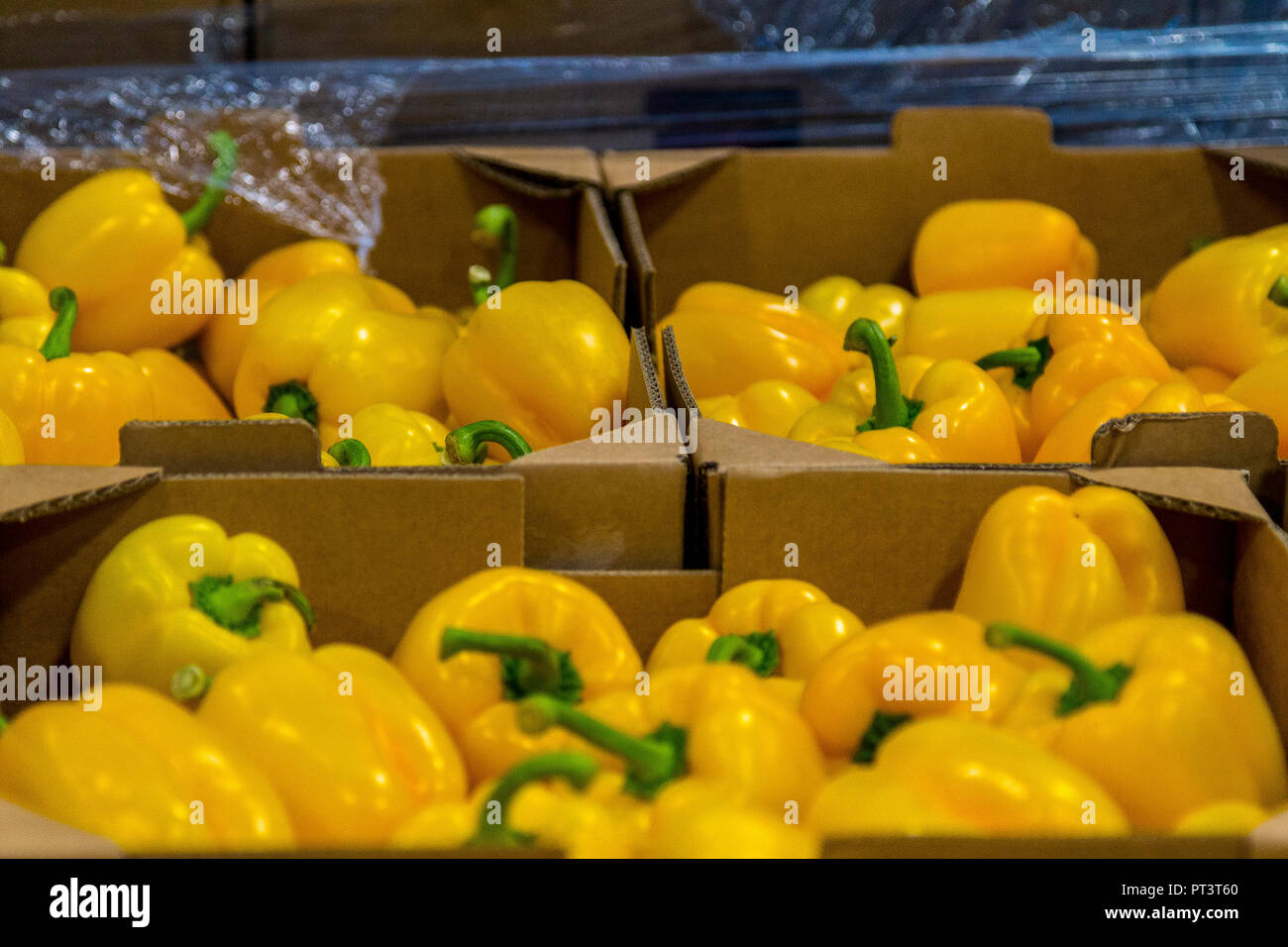 La produzione alimentare nel Regno Unito - frutta, verdure, insalate preparate, vita sana Foto Stock