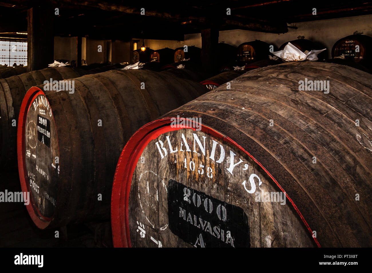 Barili di vino di Madera, Blandys, Funchal, Madeira Foto Stock